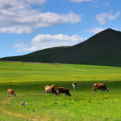 内蒙古自治区脱贫攻坚网上3D展厅